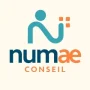 Logo Numae Conseil, cabinet d’expertise comptable et conseil financier dans les Pyrénées-Orientales